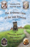 Cover: The Arduous Case of the Lost Princess - Middlemarch Press