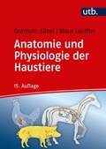 Cover: Anatomie und Physiologie der Haustiere - UTB