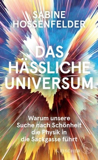 Abbildung von: Das hässliche Universum - S. Fischer