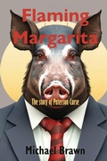 Cover: Flaming Margarita - Louise Brawn