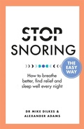 Cover: Stop Snoring The Easy Way - Orion Spring