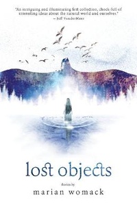 Enlarge image Cover: Lost Objects - Luna Press Publishing
