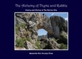 Cover: The Alchemy of Thyme and Rubble - The 7th String