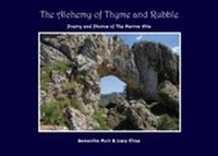 Abbildung von: The Alchemy of Thyme and Rubble - The 7th String