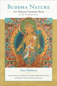 Abbildung von: Buddha Nature - Snow Lion