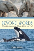 Cover: Beyond Words: What Elephants and Whales Think and Feel (A Young Reader's Adaptation) - Roaring Brook Press