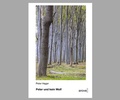 Cover: Peter und kein Wolf - AROVELL Verlag