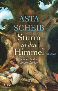 Abbildung von: Sturm in den Himmel - dtv