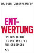 Cover: Entwertung - Rowohlt Berlin