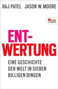Cover: Entwertung - Rowohlt