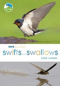 Cover: RSPB Spotlight Swifts and Swallows - Bloomsbury Wildlife