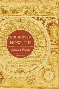 Enlarge image Cover: How It Is - Salmon Poetry