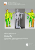 Cover: Risikoziffer - University of Bamberg Press