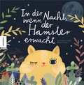 Cover: In der Nacht, wenn der Hamster erwacht - Knesebeck