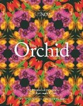 Cover: The Orchid - Welbeck