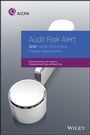 Cover: Audit Risk Alert - Wiley