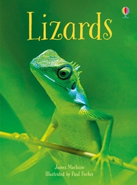 Enlarge image Cover: Lizards - Usborne Publishing Ltd