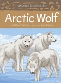 Cover: Animals Illustrated: Arctic Wolf - Inhabit Media Inc