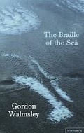 Cover: The Braille of the Sea - Salmon Poetry
