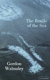 Enlarge image Cover: The Braille of the Sea - Salmon Poetry