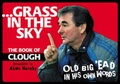 Cover: Grass In The Sky - Naked Guides Ltd