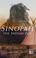 Cover: Sinopah the Indian Boy - Madison & Adams Press
