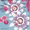Cover: Cocktail Garten Untersetzer - Motiv Feigen (2er Set) - Gerstenberg