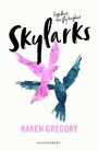 Cover: Skylarks - Bloomsbury YA