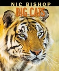 Cover: Nic Bishop Big Cats - Scholastic US