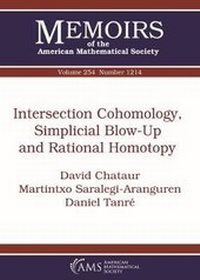 Abbildung von: Intersection Cohomology, Simplicial Blow-Up and Rational Homotopy - American Mathematical Society