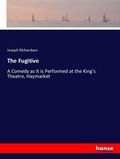Cover: The Fugitive - Hansebooks