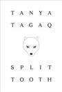 Cover: Split Tooth - Penguin Canada