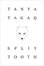 Cover: Split Tooth - Viking Press Inc