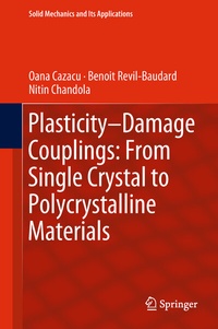 Abbildung von: Plasticity-Damage Couplings: From Single Crystal to Polycrystalline Materials - Springer