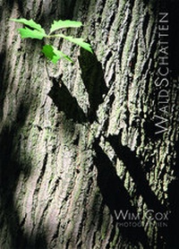 Enlarge image Cover: Waldschatten - Verlag Kettler