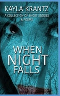 Cover: When Night Falls - Into the Darkness Publishing