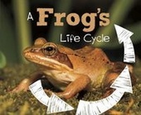 Enlarge image Cover: A Frog's Life Cycle - Raintree