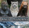 Cover: Kings of the Mountains - Raintree