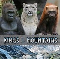Enlarge image Cover: Kings of the Mountains - Raintree