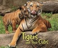 Cover: Tigers and Their Cubs - Raintree