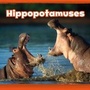 Cover: Hippopotamuses - Raintree