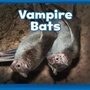 Cover: Vampire Bats - Raintree