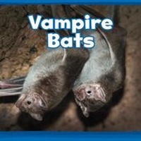 Enlarge image Cover: Vampire Bats - Raintree