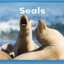 Cover: Seals - Raintree