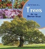 Cover: Trees of the British Isles - Raintree