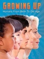 Cover: Growing Up - Raintree