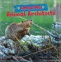 Cover: Amazing Animal Architects - Raintree