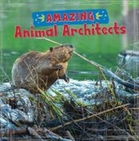 Enlarge image Cover: Amazing Animal Architects - Raintree