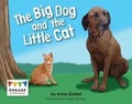 Cover: The Big Dog and the Little Cat - Raintree