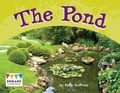 Cover: The Pond - Raintree